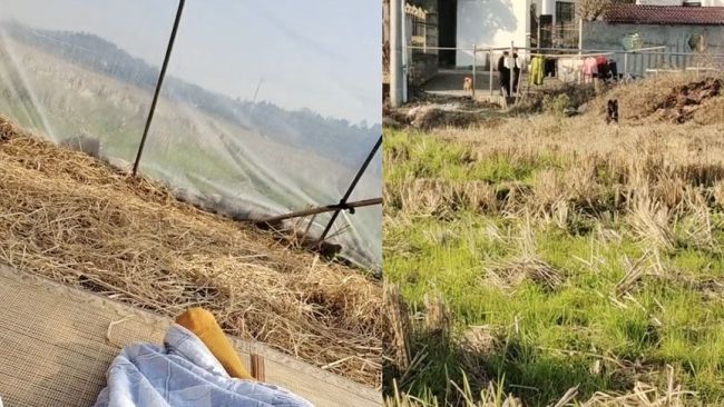 陽性女子荒野隔離:大棚里打地鋪 這么冷的天病情不會加重嗎