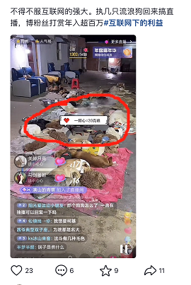 揭秘個月入10000的暴利賺錢野路子