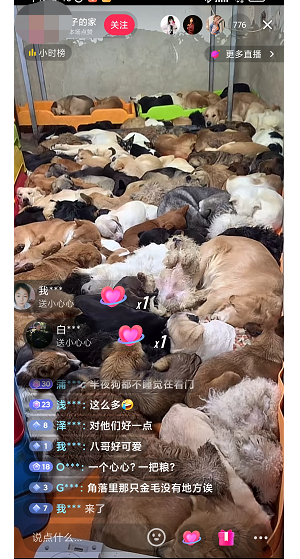 揭秘個月入10000的暴利賺錢野路子