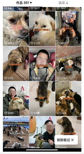 揭秘個月入10000的暴利賺錢野路子