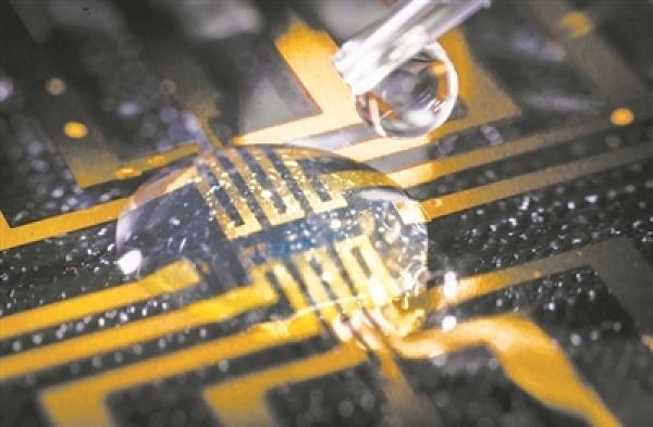 科學家在大腦中培育出電極 利用人體分子作為觸發器